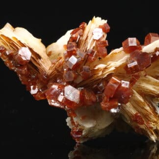 Vanadinite rouge sur baryte crêtée, Mibladen, Maroc.