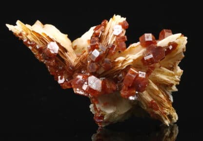 Vanadinite rouge sur baryte crêtée, Mibladen, Maroc.