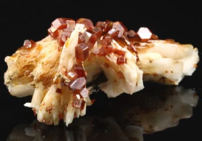 Vanadinite rouge sur baryte crêtée, Mibladen, Maroc.