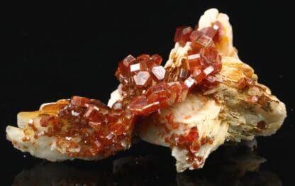 Vanadinite rouge sur baryte crêtée, Mibladen, Maroc.