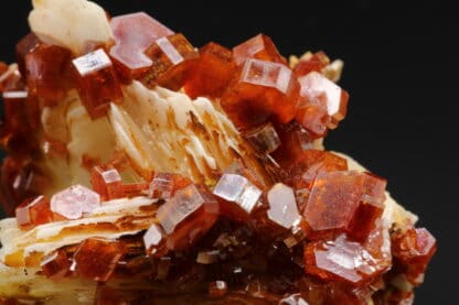 Vanadinite rouge sur baryte crêtée, Mibladen, Maroc.