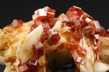 Vanadinite rouge sur baryte crêtée, Mibladen, Maroc.