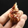 Vanadinite rouge sur baryte crêtée, Mibladen, Maroc.