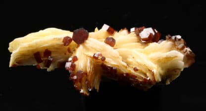 Vanadinite rouge sur baryte crêtée, Mibladen, Maroc.