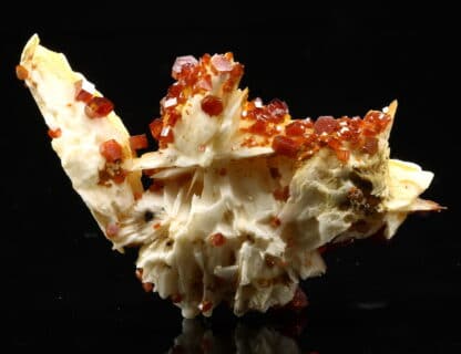 Vanadinite rouge sur baryte crêtée, Mibladen, Maroc.Vanadinite rouge sur baryte crêtée, Mibladen, Maroc.