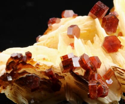 Vanadinite rouge sur baryte crêtée, Mibladen, Maroc.