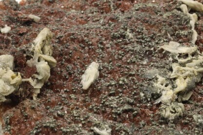 Fluorine rouge, pyrite et baryte, Voltennes, Saône-et-Loire, Morvan.