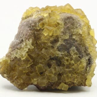 Fluorine jaune, Le Bois Clair, Sologny, Saône-et-Loire.