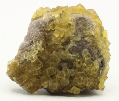 Fluorine jaune, Le Bois Clair, Sologny, Saône-et-Loire.