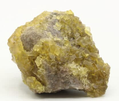 Fluorine jaune, Le Bois Clair, Sologny, Saône-et-Loire.