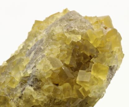 Fluorine jaune, Le Bois Clair, Sologny, Saône-et-Loire.