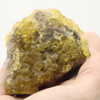 Fluorine jaune, Le Bois Clair, Sologny, Saône-et-Loire.