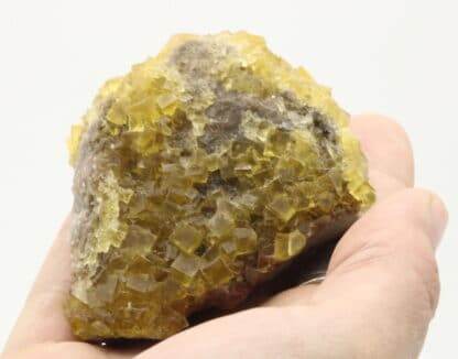 Fluorine jaune, Le Bois Clair, Sologny, Saône-et-Loire.