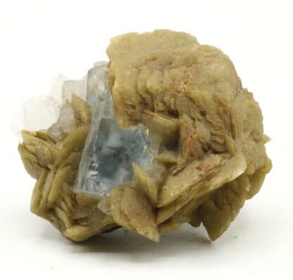 Fluorite et sidérite du Burc (Tarn).