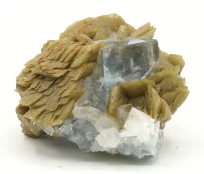 Fluorite et sidérite du Burc (Tarn).