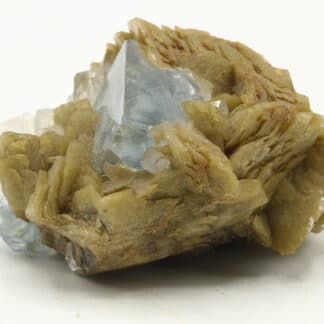 Fluorite et sidérite du Burc (Tarn).