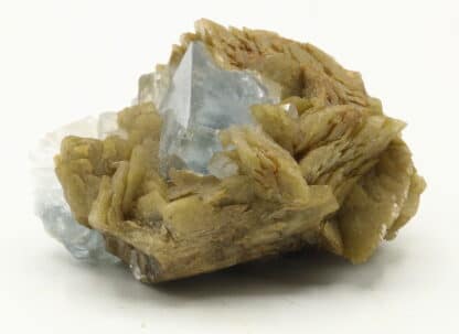 Fluorite et sidérite du Burc (Tarn).