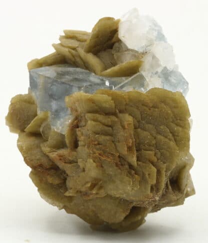 Fluorite et sidérite du Burc (Tarn).