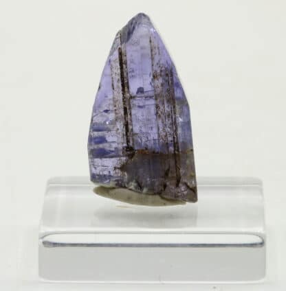 Cristal de Tanzanite, Umba vallée, Usumburu, Tanzanie.