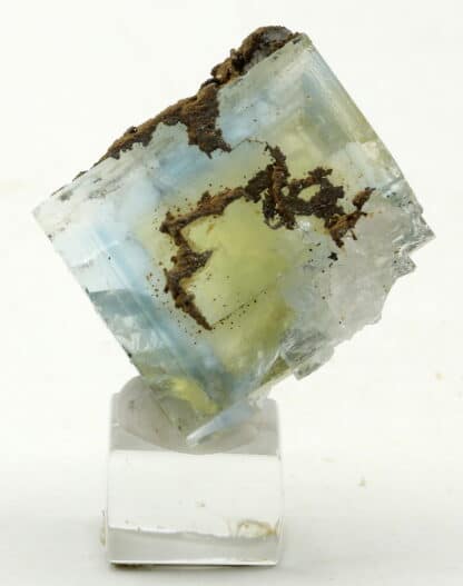 Fluorite jaune et bleue de la mine du Burc (au Burg - Tarn)