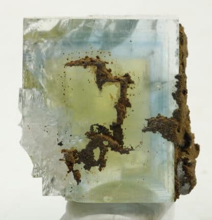 Fluorite jaune et bleue de la mine du Burc (au Burg - Tarn)