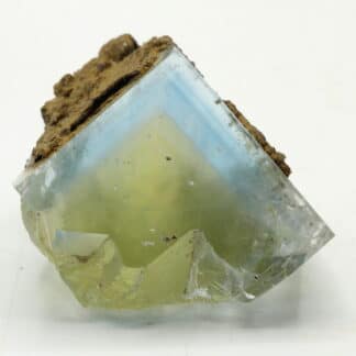 Fluorite jaune et bleue de la mine du Burc (au Burg - Tarn)