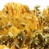 Pyromorphite sur Baryte, Les Farges, Ussel, Corrèze, Limousin.
