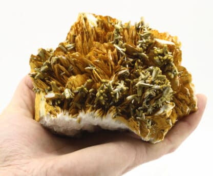 Pyromorphite sur Baryte, Les Farges, Ussel, Corrèze, Limousin.