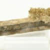 Stibiconite après stibine avec valentinite, Zacatecas, Mexique.