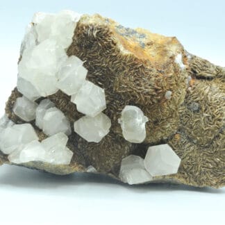 Calcite sur Sidérite, Carrière du Rivet, Peyrebrune, Tarn.