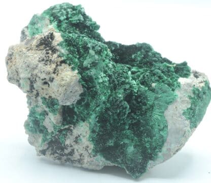 Malachite verte fibreuse, Katanga, Congo.