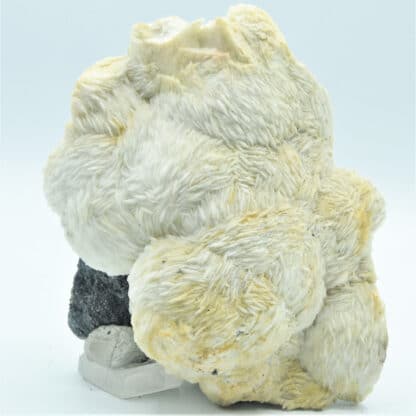 Pompons de Baryte, et Shalérite (Blende), Les Cèdres, Saint-Laurent-le-Minier, Gard.