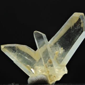 Quartz en macle du Japon (ou de la Gardette), Les Halles, Vaulnaveys, Isère.