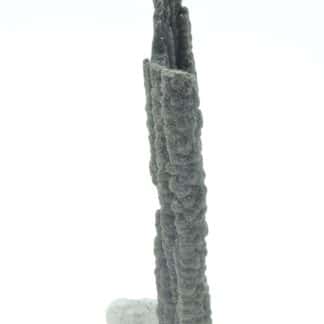 Stalactite de Pyrite et Baryte, Les Cèdres, Mine des Malines, Gard.