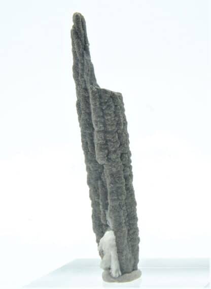 Stalactite de Pyrite et Baryte, Les Cèdres, Mine des Malines, Gard.