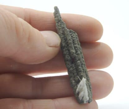 Stalactite de Pyrite et Baryte, Les Cèdres, Mine des Malines, Gard.