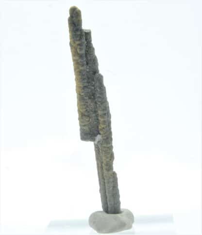 Stalactite de Pyrite et Baryte, Les Cèdres, Mine des Malines, Gard.