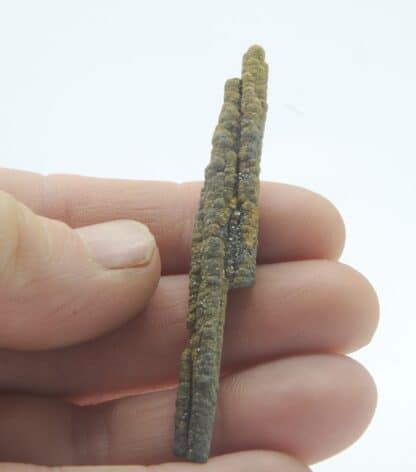 Stalactite de Pyrite et Baryte, Les Cèdres, Mine des Malines, Gard.