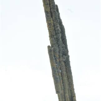 Stalactite de Pyrite, Les Cèdres, Mine des Malines, St-Laurent-le-Minier, Gard.