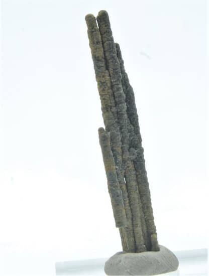 Stalactite de Pyrite, Les Cèdres, Mine des Malines, St-Laurent-le-Minier, Gard.