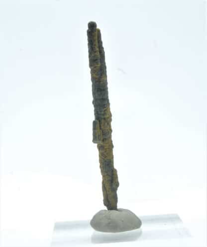 Stalactite de Pyrite, Mine des Malines, St-Laurent-le-Minier, Gard.