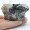 Goethite mamelonnée et Fluorite (Fluorine) bleue, Mine de Embournegade, Tarn.