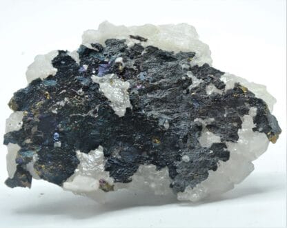 Chalcopyrite sur Quartz, Montroc (Mont-Roc), Tarn.