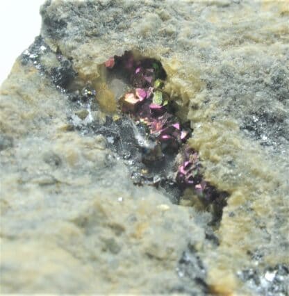 Galène en petits cubes et Pyrite, Pontpéan, Ille-et-Vilaine, Bretagne.