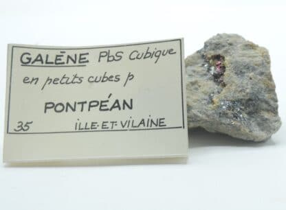 Galène en petits cubes et Pyrite, Pontpéan, Ille-et-Vilaine, Bretagne.