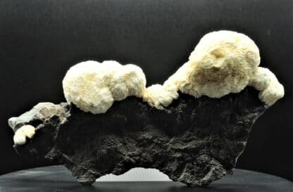 Baryte en pompons sur Sphalérite (Blende), Les Cèdres, Mine des Malines, Gard.