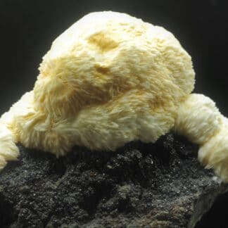 Baryte en pompons sur Sphalérite (Blende), Les Cèdres, Mine des Malines, Gard.