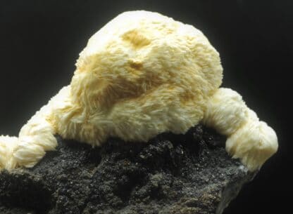 Baryte en pompons sur Sphalérite (Blende), Les Cèdres, Mine des Malines, Gard.