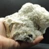 Baryte en pompons et Pyrite, Les Cèdres, Mine des Malines, Gard.