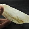 Cristal flottant de Barytine (Baryte) fantôme, Mines de l’Avellan, Var.
